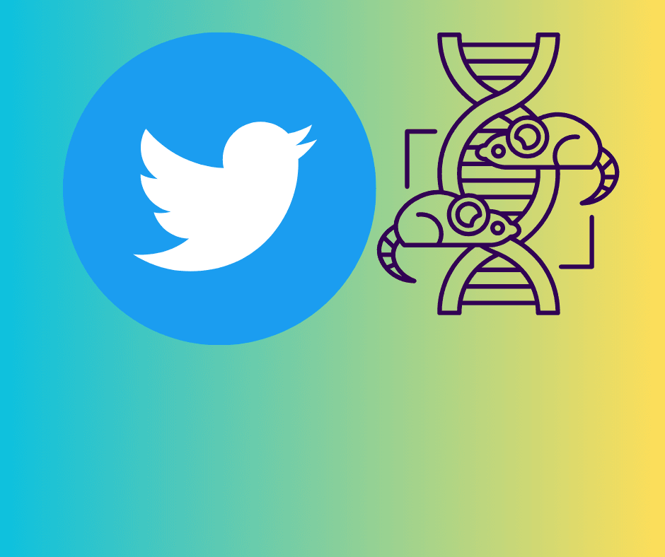 Twitter Clone